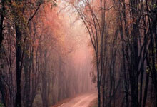 壹号娱乐:大胜宁波!杜锋发布会点名徐昕小,强调训练命中率高,赞徐杰作用.