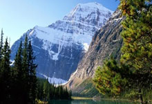 佩佩:在皇马有无数美好时刻;若能选择,我仍愿意为皇马踢球.